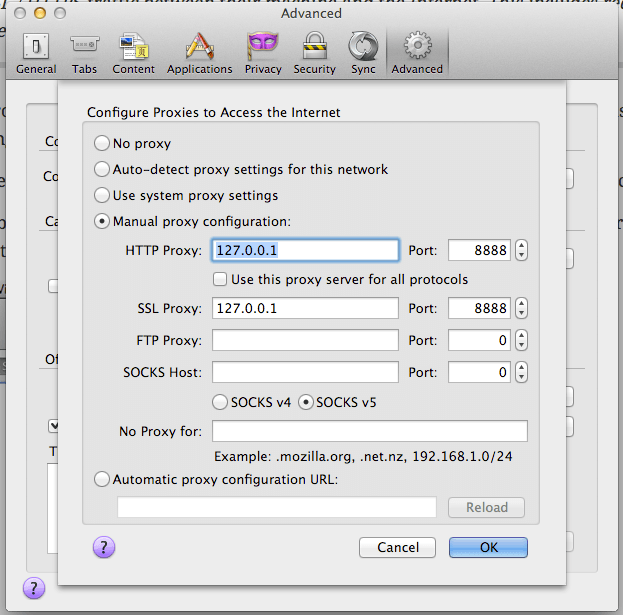 Automatic proxy settings in Firefox